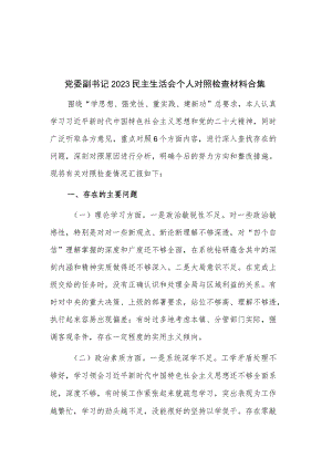 党委副书记2023民主生活会个人对照检查材料合集.docx