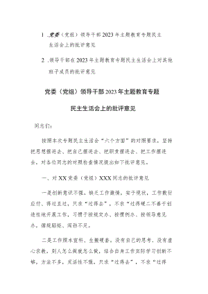 两篇：领导干部在2023年主题教育专题民主生活会上对其他班子成员的批评意见范文.docx