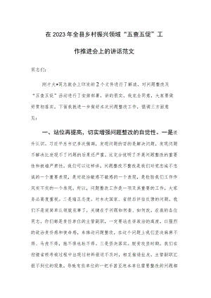 在2023年全县乡村振兴领域“五查五促”工作推进会上的讲话范文.docx