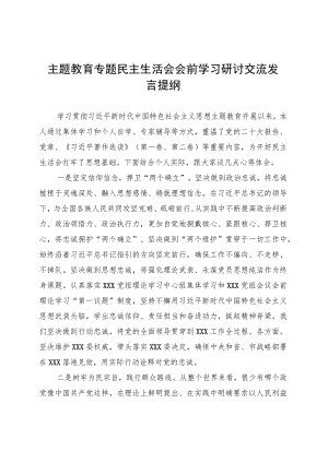主题教育专题民主生活会会前学习研讨交流发言提纲 .docx