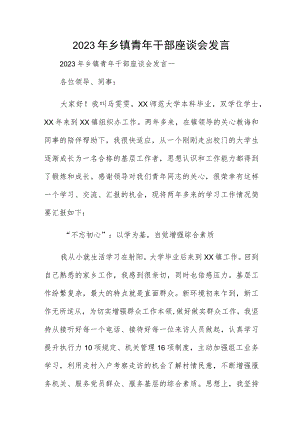 2023年乡镇青年干部座谈会发言.docx