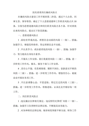 医院重要岗位廉政风险点.docx