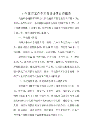 小学体育工作专项督导评估自查报告.docx