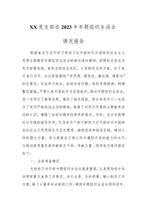 XX党支部在2023年专题组织生活会情况报告.docx