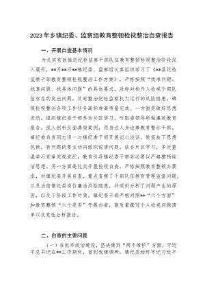 2023年乡镇纪委、监察组教育整顿检视整治自查报告.docx