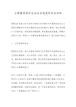 在主题教育组织生活会自我剖析发言材料.docx