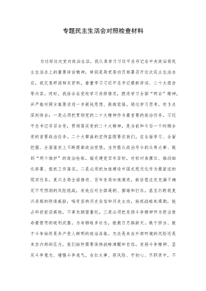 专题民主生活会对照检查材料(4).docx