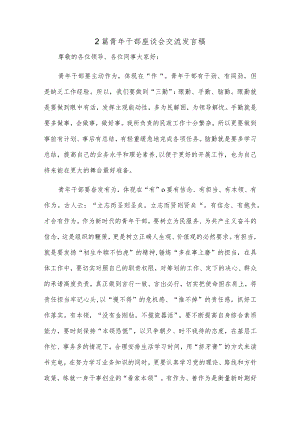 2篇青年干部座谈会交流发言稿.docx