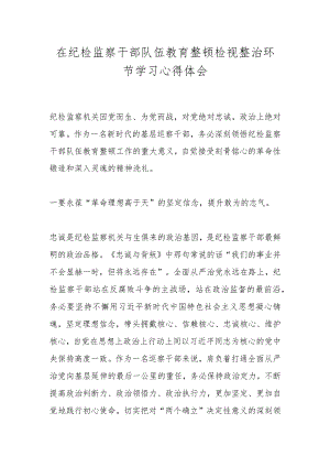 在纪检监察干部队伍教育整顿检视整治环节学习心得体会.docx