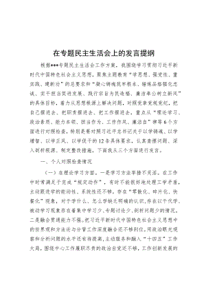 在专题民主生活会上的发言提纲.docx