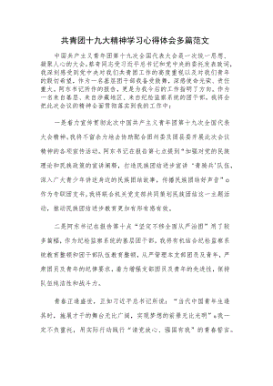共青团十九大精神学习心得体会多篇范文.docx