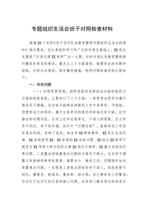 专题组织生活会班子对照检查材料.docx
