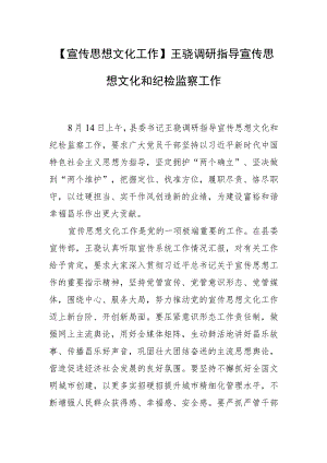 【宣传思想文化工作】王骁调研指导宣传思想文化和纪检监察工作.docx