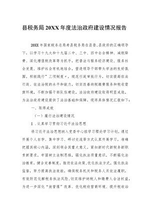 县税务局20XX年度法治政府建设情况报告.docx