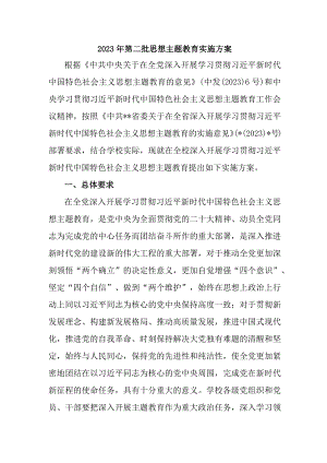 精编2023年乡镇第二批思想主题教育实施策划方案 汇编2份.docx