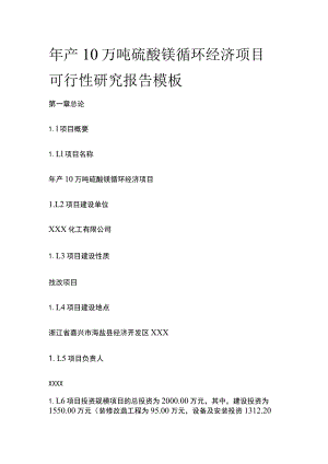 硫酸镁循环经济项目可行性研究报告模板.docx