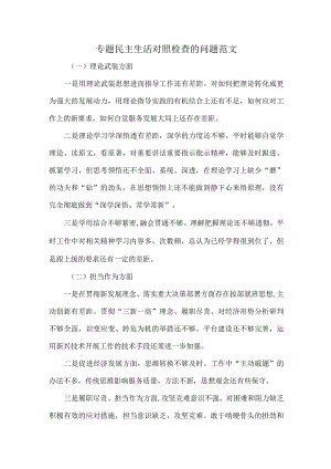 专题民主生活对照检查的问题范文.docx