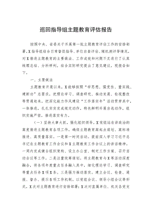 巡回指导组主题教育评估报告.docx