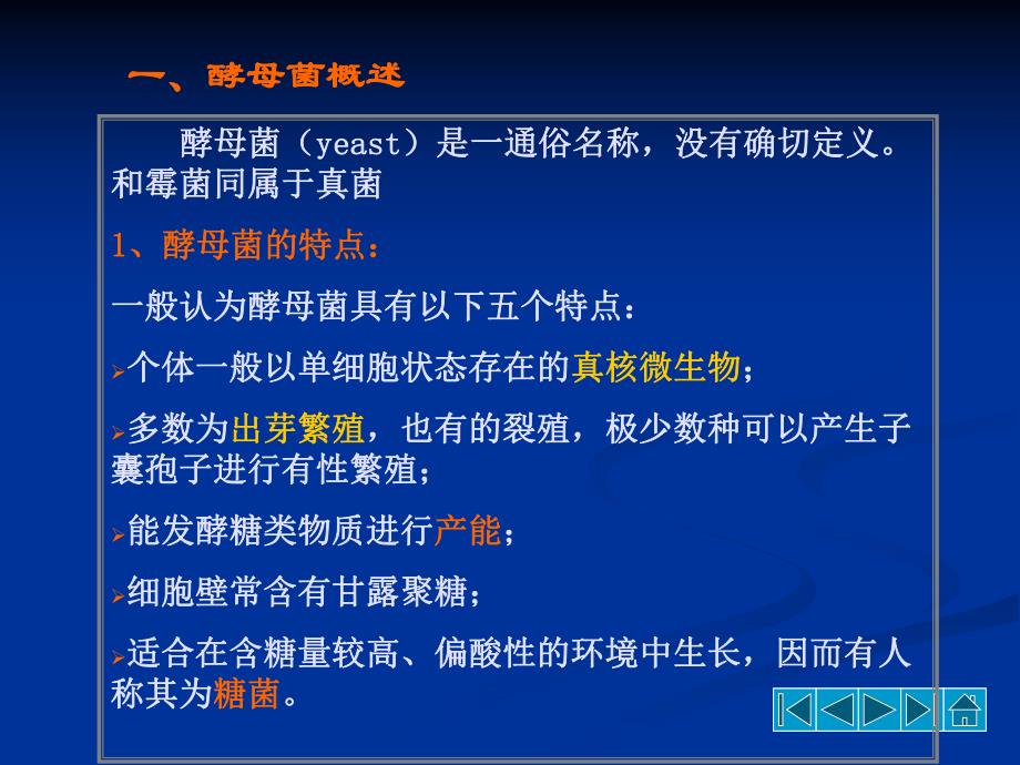 酵母菌的形态结构.ppt_第3页