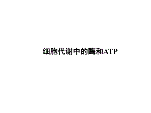 酶和ATP复习.ppt
