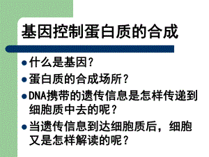 转录和翻译1.ppt