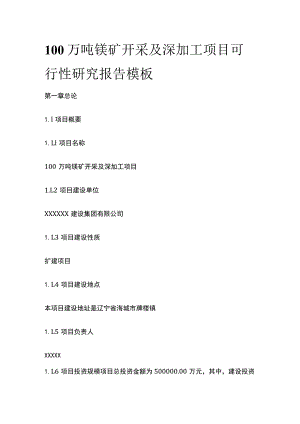 镁矿开采及深加工项目可行性研究报告模板.docx