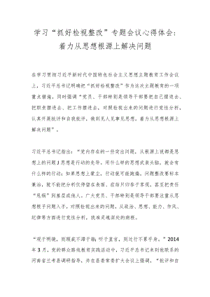 学习“抓好检视整改”专题会议心得体会：着力从思想根源上解决问题.docx