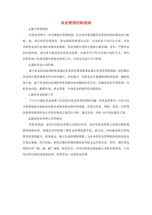 资金管理控制措施.docx