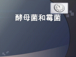 酵母菌和霉菌122.ppt