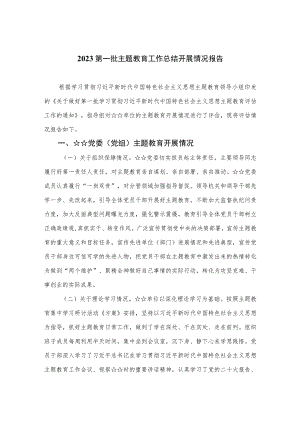 （10篇）2023第一批主题教育工作总结开展情况报告范文.docx