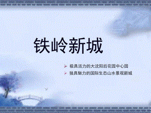 铁岭新城.ppt