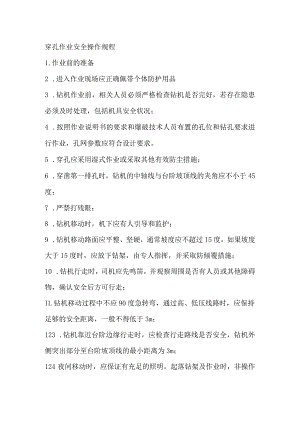 穿孔作业安全操作规程.docx