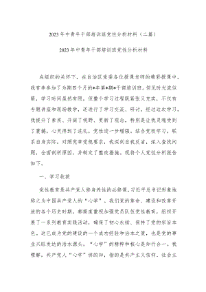 2023年中青年干部培训班党性分析材料(二篇).docx