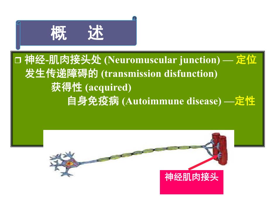 重症肌无力1.ppt_第2页