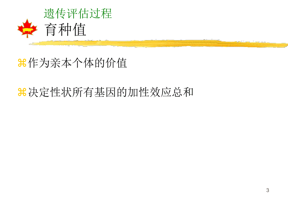 遗传评估过程.ppt_第3页