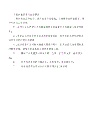 自控仪表管理岗安全职责.docx