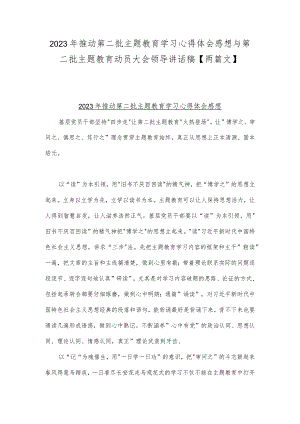 2023年推动第二批主题教育学习心得体会感想与第二批主题教育动员大会领导讲话稿【两篇文】.docx