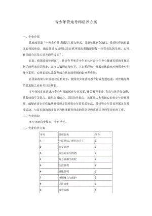 青少年营地导师培养方案.docx