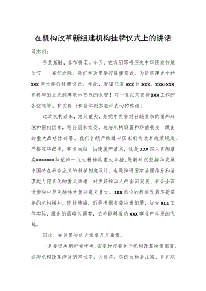 在机构改革新组建机构挂牌仪式上的讲话.docx