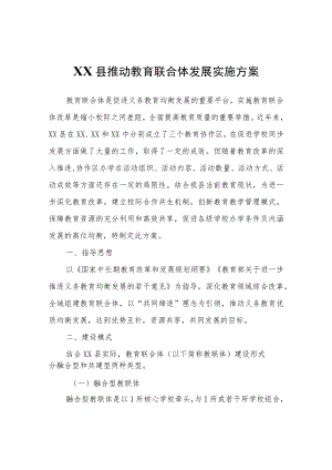 XX县推动教育联合体发展实施方案.docx