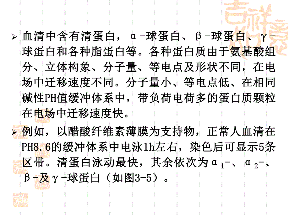 醋酸纤维薄膜电泳分离血清蛋白.ppt_第3页