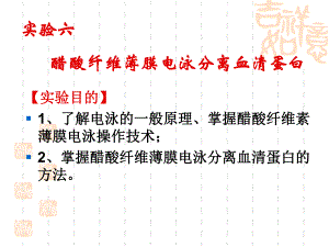 醋酸纤维薄膜电泳分离血清蛋白.ppt