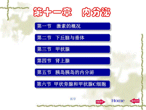 生理学内分泌ppt课件.ppt