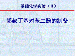 邻叔丁基对苯二酚.ppt