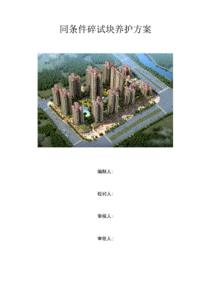 同条件砼试块养护方案.docx