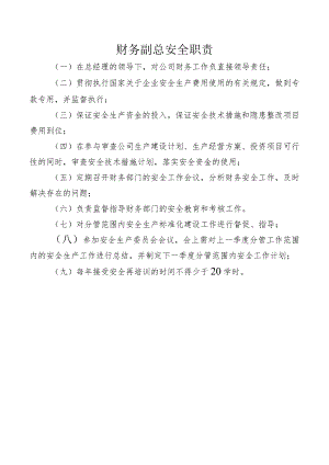 财务副总安全职责.docx