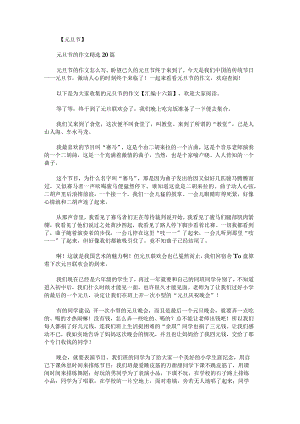 元旦节的作文汇编十.docx
