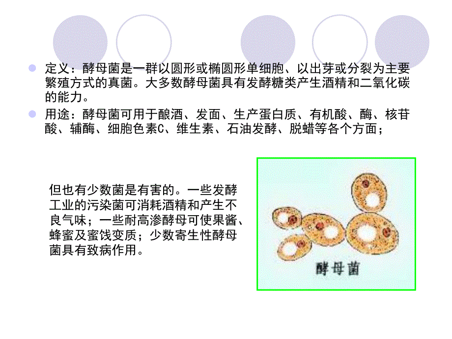 酵母菌及其在食品中的应用.ppt_第3页