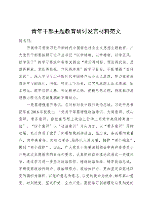 青年干部主题教育研讨发言材料题心得体会主要.docx