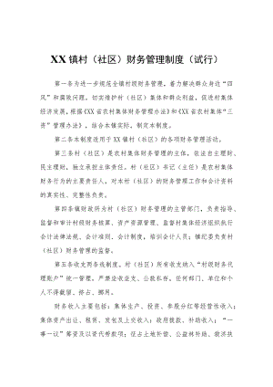 XX镇村（社区）财务管理制度（试行）.docx